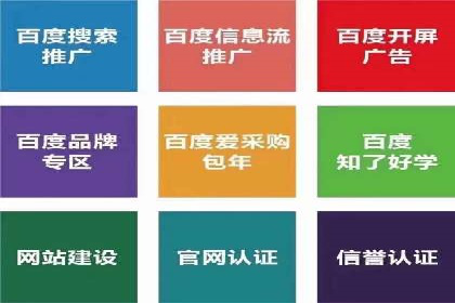 案例分享：SEM广告投放助力电商增长